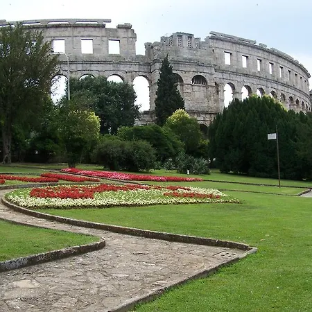 Din Pula