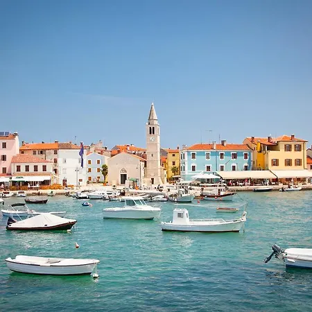 Din * Pula